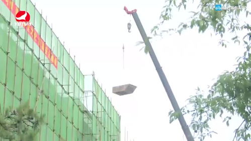 长春花开 街上添彩——延吉市加快推进精品街路景观提升工程